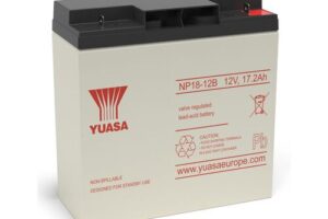 Bild von Yuasa NP18-12B VRLA Sealed Lead Acid Battery   1 Pack